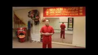 Choy Lee Fut Techniques - Tao Lu