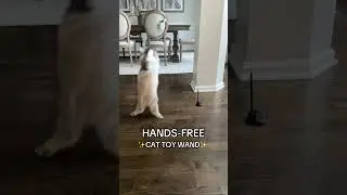 Hands-free cat toy wand: perfect holiday gift for cat lovers! #cat #cats