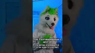 У вас есть такие друзья? #курган #grinya #гриня #antifurry #антифурри #kurgan #furries #fox #фурри