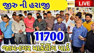 live cumin trading in Jamnagar APMC | જીરું ના ભાવ | 11 .9, 2023 | jiru na bhav | commodity Trend