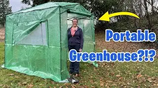 Let Me Show You How Amazing This Greenhouse Is!