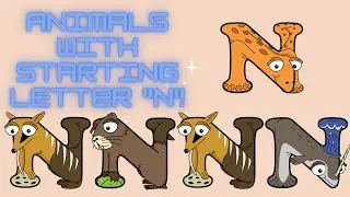 ANIMALS WITH STARTING LETTER N!