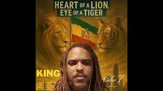 Color T - King set 