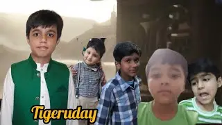 Pro AD Boy company tigeruday official trailer 