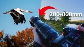 POV Nature Photography Walk | Birds, Wildlife & Autumn Vibes | Lumix GH7 + Leica 100–400mm #asmr
