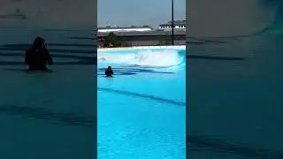 Empty wave at the Munich wave pool