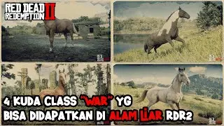 RDR2 | TIPS RDR2 | 4 KUDA CLASS 