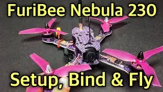 FuriBee Nebula 230 230mm FPV Racing Drone