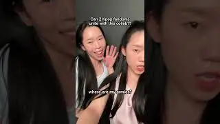 Can 2 kpop fandoms unite?? (Armies and Blinks)