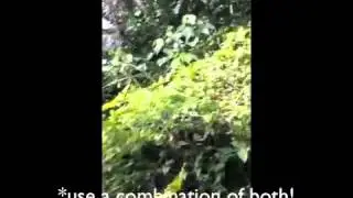 Introduction to Geocaching