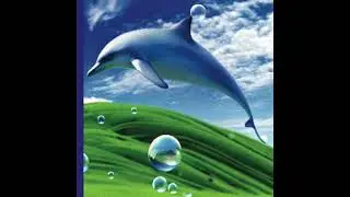 @peace