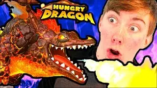 Hungry Dragon - DANTE - All *LARGE* Dragons! (iOS Gameplay Video)