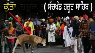 EK ਕੁੱਤਾ ਰਹਿੰਦਾ Blind Dog -  Hazoor Sahib (Nanded)ਗਾਗਰ ਕੁੰਡ ਤੋਂ ਸੱਚਖੰਡ ਹਜ਼ੂਰ ਸਾਹਿਬ ਤੱਕ