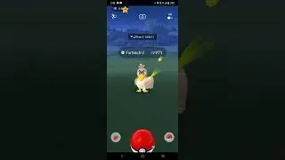 Catching Farfetch'd In Pokemon Go.#pokemon #pokemongo .