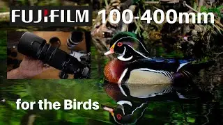 Birding with the Fujifilm 100-400mm lens.