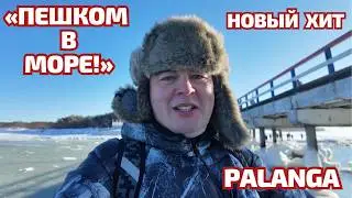 ВЫШЕЛ ПЕШКОМ В МОРЕ! 🌊 Паланга 14 февраля: Лед, Техно и мой новый ХИТ #литва