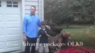 In Home Dog Training Northern Virginia! Testimonial Video