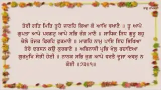 AGGS 38 Sri Aad Guru Granth Sahib Paath Vol 38 Master Darshan Singh Ji Sri Bhaini Sahib