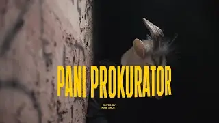2T4 - PANI PROKURATOR | #INTERNATIONAL #ONELANGUAGE