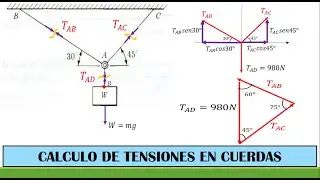 CALCULO DE LA TENSION EN CUERDAS - PRIMERA LEY DE NEWTON - LEY DE LA INERCIA