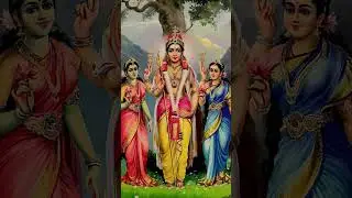 Lord  murugan @sakthicreation-tvm #shortsfeed #animation #funny #bhakti #tamilgod