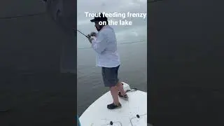 Speckled trout feeding frenzy on Calcasieu lake with Louisiana Backwater charters