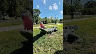 Из Остина в Майами. Штат Луизиана. Заправка и крокодил#usa#travel #shorts#сша#жизньвсша#путешествия
