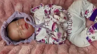 Small haul & a new doll, details, name reveal and so much more!! Come and see!! 