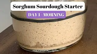 DAY 1 - Morning (Sorghum Gluten Free Sourdough Starter)