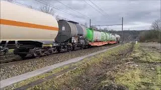 Spotting November   December 2025  Part 2