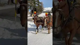Чем знаменит St. Moritz: Город, покоривший мир
