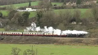 Steam Train Whistles 