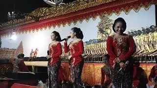 Suara sinden ayu sekar bima bikin gemebyar penonton di selakambang kaligondang purbalingga