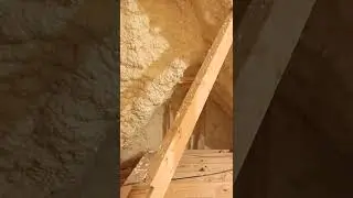 B&G Electric duster part 1 #B&G  #pestcontrol #yellowjackets