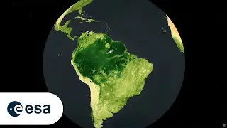 Biomass: ESA&rsquo;s forest mission