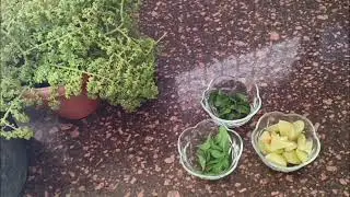 Amla ka juice recipe with ginger . amla ka juice #food #recipe #easyrecipe
