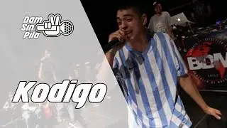Lo mejor de Kodigo