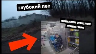 На нас НАПАЛИ лошади и АГРО-школьник, Пытался ЗБЕЖАТЬ с зОоПарка... + стрит с GOPRO