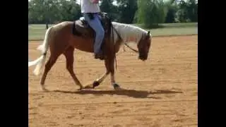 MOV07112 horsn9 Bella 092112