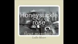 'Fleur Manouche'    Lollo Meier feat Andre Donni
