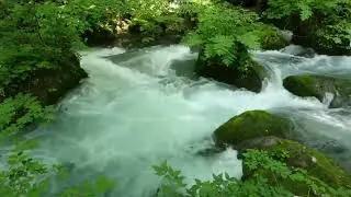 3 Hours Of Gentle Piano Nature Sounds