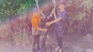 Shooting birds with a BB Gun#hunting