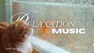 Cuddly Autumn Rain &ndash; Cozy Piano & Purring Sounds for Relaxing My Cat | Pink Noise For Anti-Anxiety