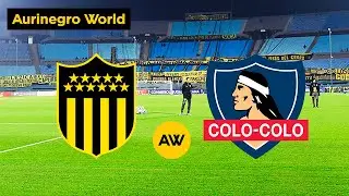 PE&Ntilde;AROL VS COLO COLO EN VIVO
