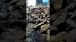 castink pinggiran pltu buleleng,, dapat kejutan