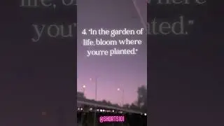 HAVE A GOOD DAY! Shorts101 #feelgoodshorts