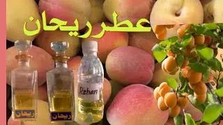 attar rehan attar fawakhe attar fruity swwet attar perfumes fragrance khushbo عطرریحان