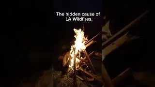 The Hidden Cause Of LA Wildfire #Hidden #Cause #LAwildfire #history #shorts #wildfire #video #today
