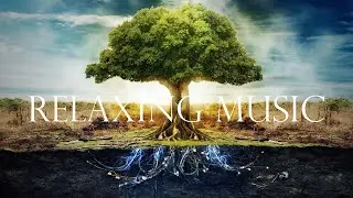 Relaxing Music - Positive Feelings and Energy #The beauty of calm#eveningrelaxingmusic
