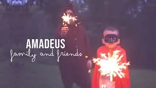 Family and Friends - Amadeus (Official Video)